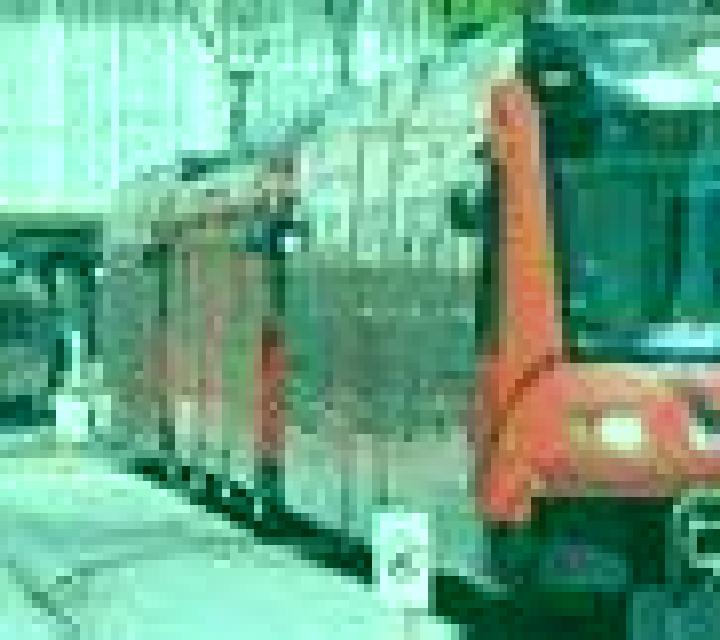 Irene Son Espanyol escort