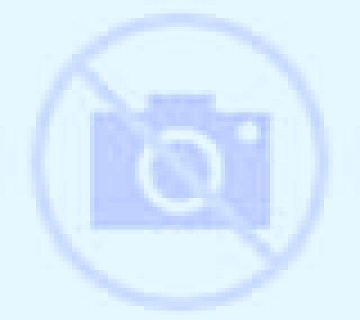 Isabela Campins escort