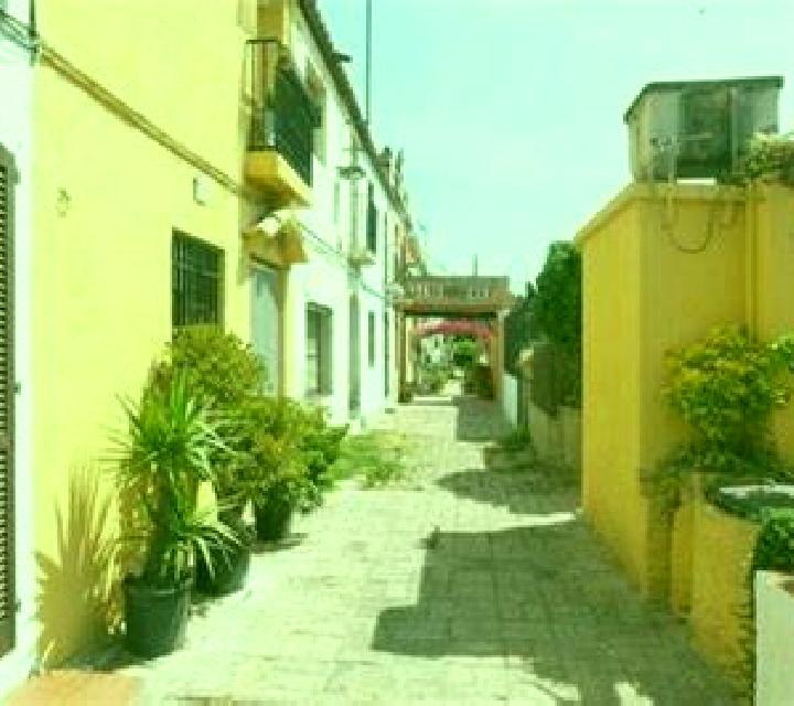 Isabella Medina de las Torres escort