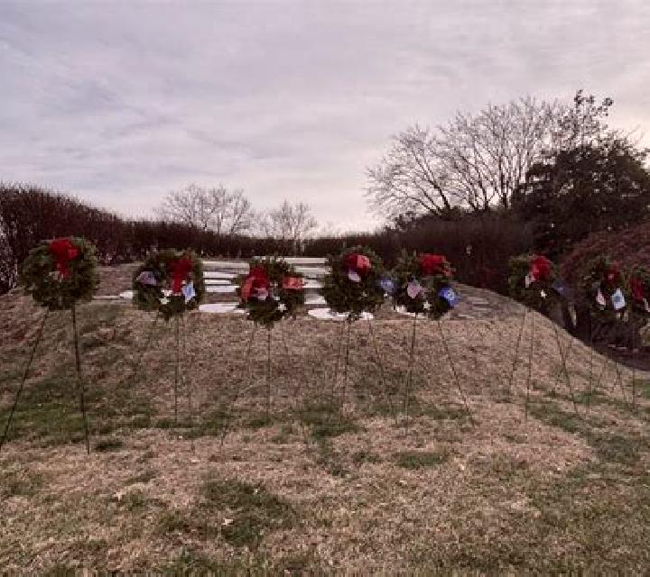 Isabella Tamariz de Campos escort