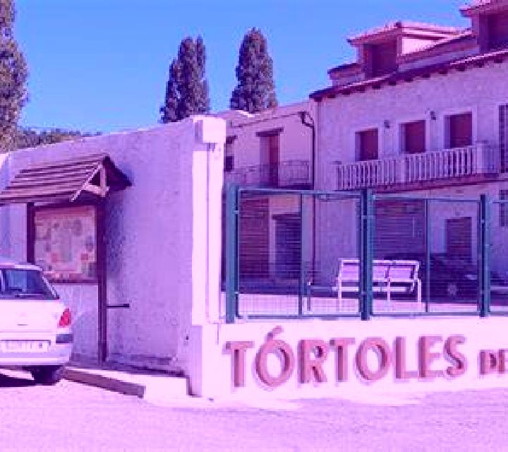 Jade 3 Torrellas escort