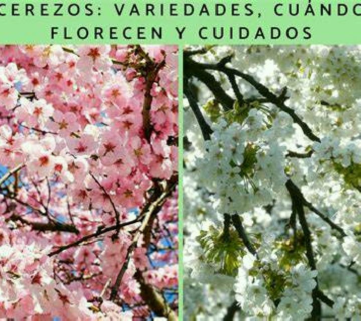 Jade 3 Villafranca del Bierzo escort