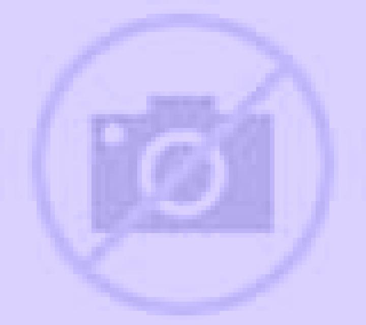 Julia 3 Campos escort