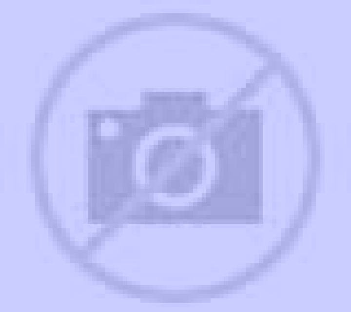 Laia 2 Benidoleig escort