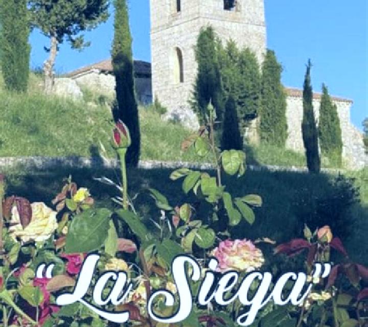 Laia 2 Playa de Santiago escort