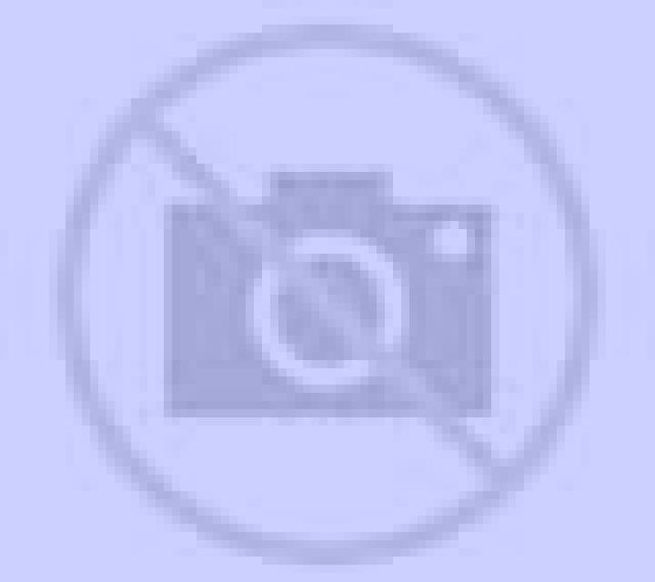 Lola 3 Buciegas escort