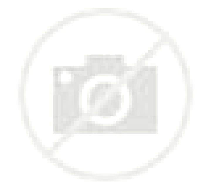 Lola Amieva escort