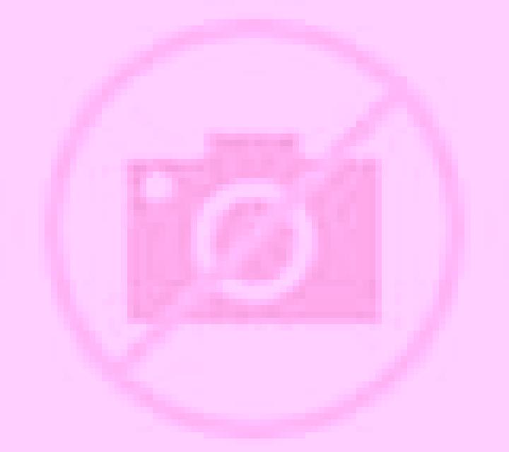 Lola Noja escort