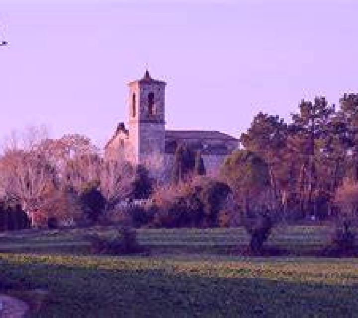 Lola San Miguel De Abona escort