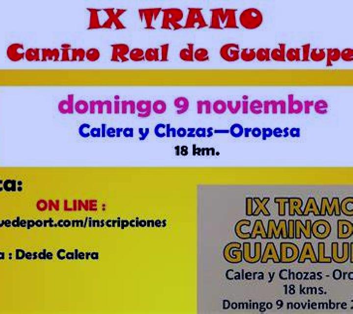Lorena Canizo escort
