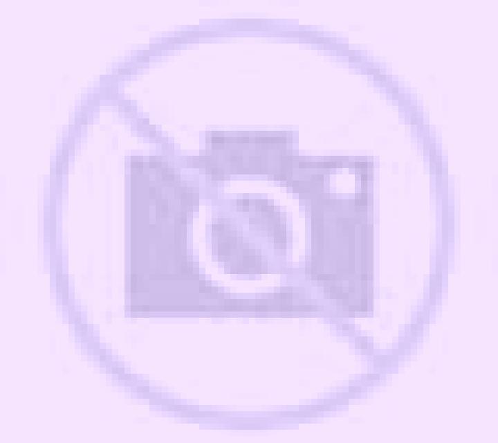 Lorena Rollamienta escort