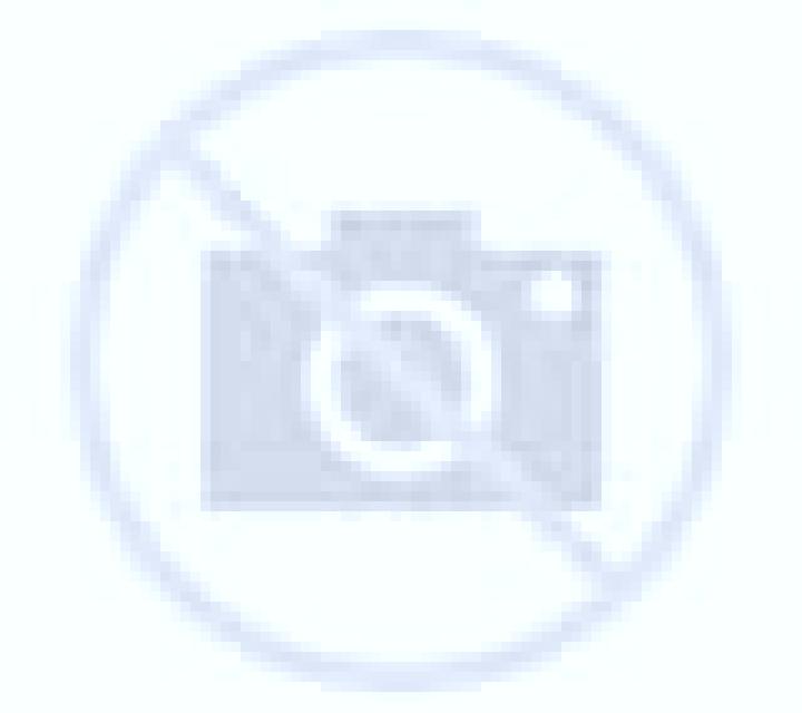 Lorena Sordillos escort