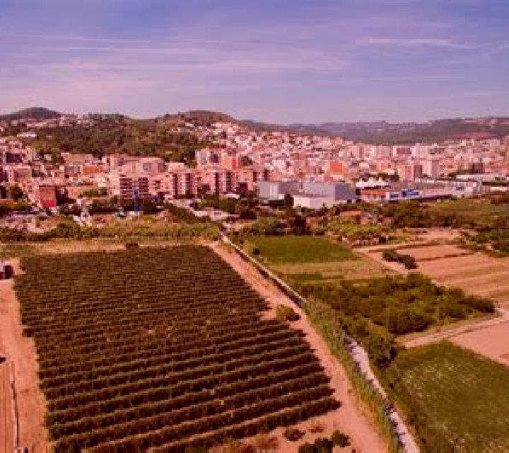 Luna 2 Horcajo de las Torres escort