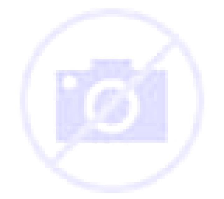 Luna 3 San Amaro escort