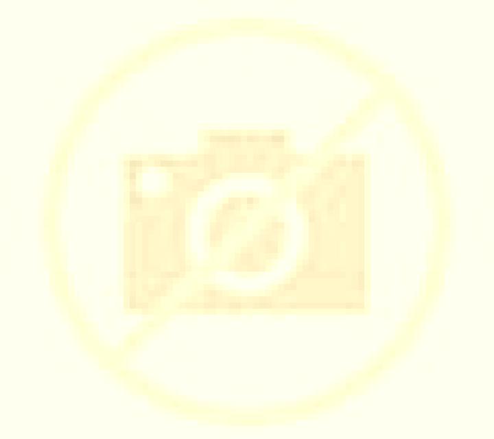 Luna Laluenga escort