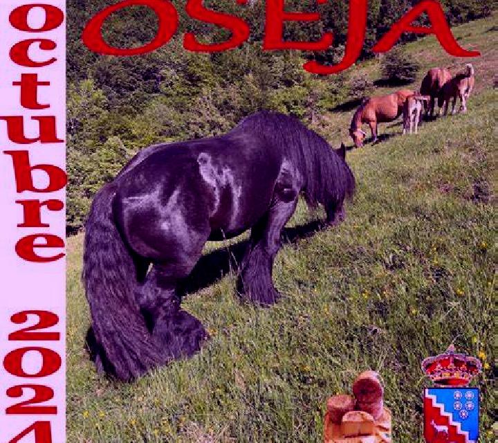 Manuela 2 Salas de Bureba escort