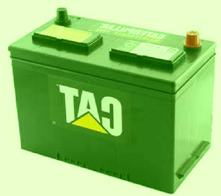 Manuela Meis escort