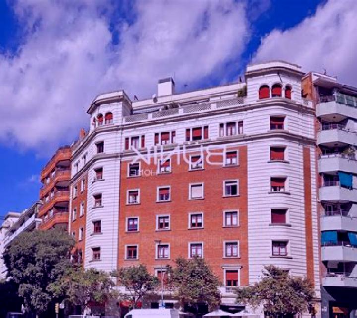 Manuela Pino del Rio escort