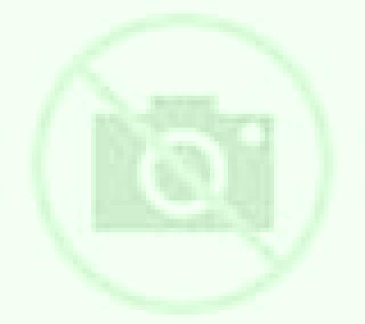 Martina 2 Vallmoll escort