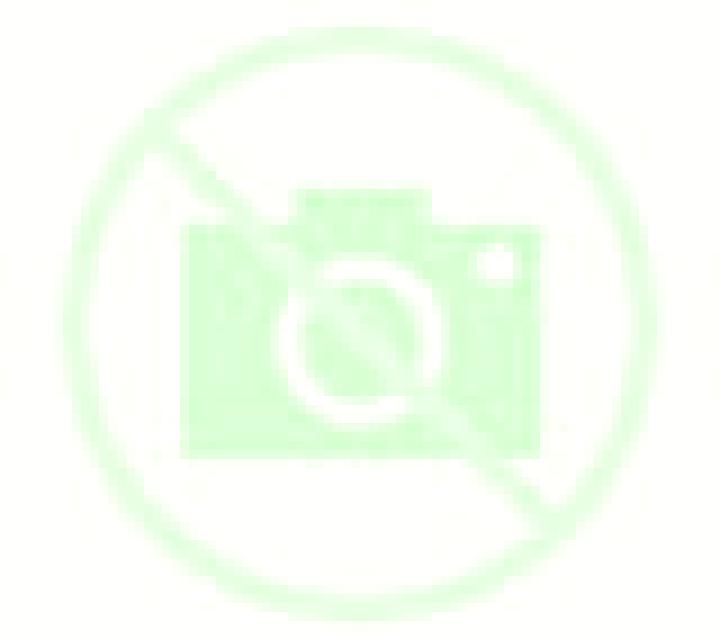 Martina 3 La Canonja escort