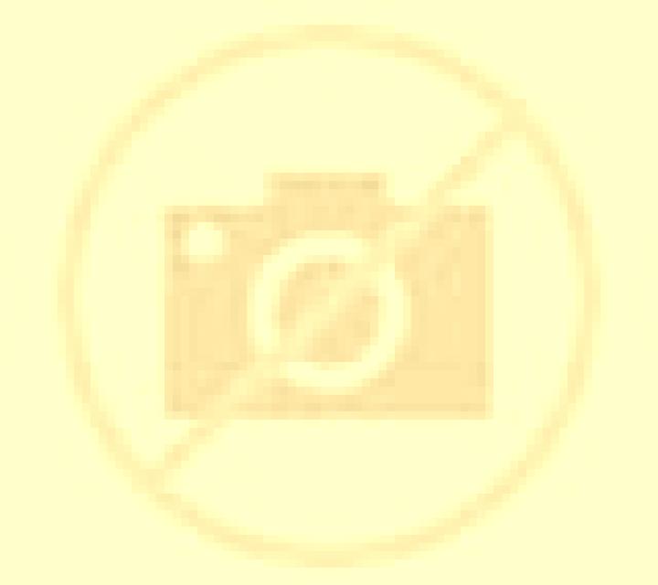Nadia Torello escort