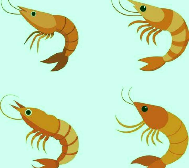 Natalia Coruna del Conde escort