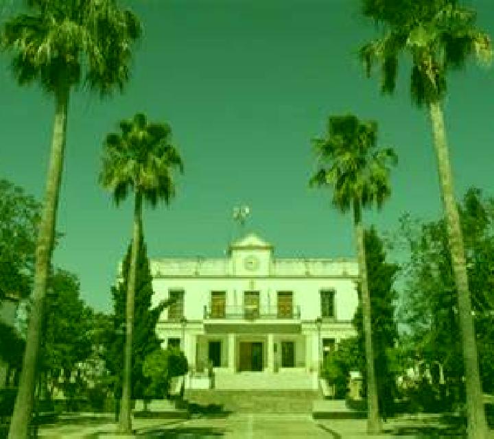 Noa 3 Otos escort