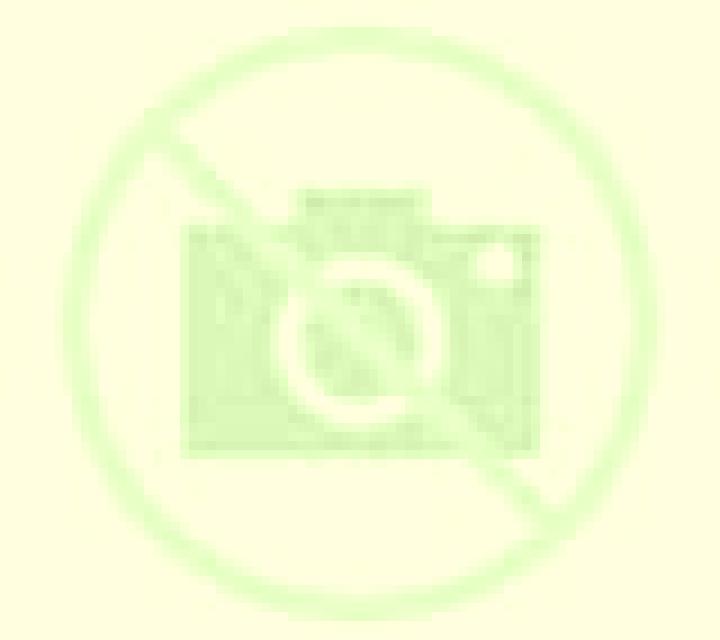 Noelia 2 Moron de la Frontera escort