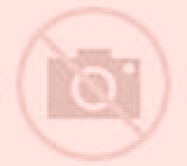 Noelia 3 Torreblascopedro escort