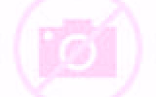 Noelia Padul escort