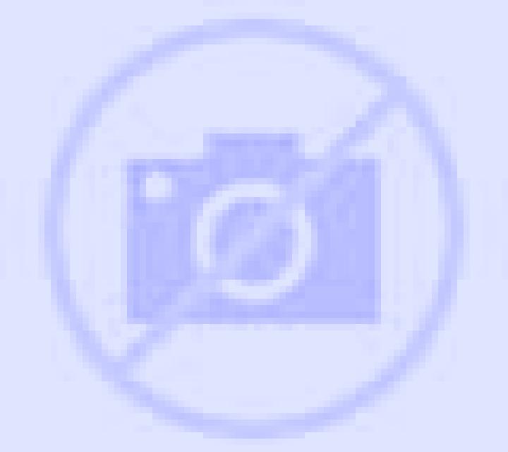 Noelia Torralbilla escort