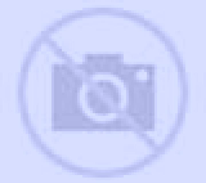 Nora 2 Alquiza escort
