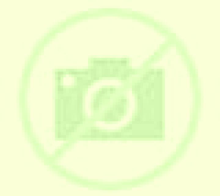 Olivia 2 Torrelapaja escort