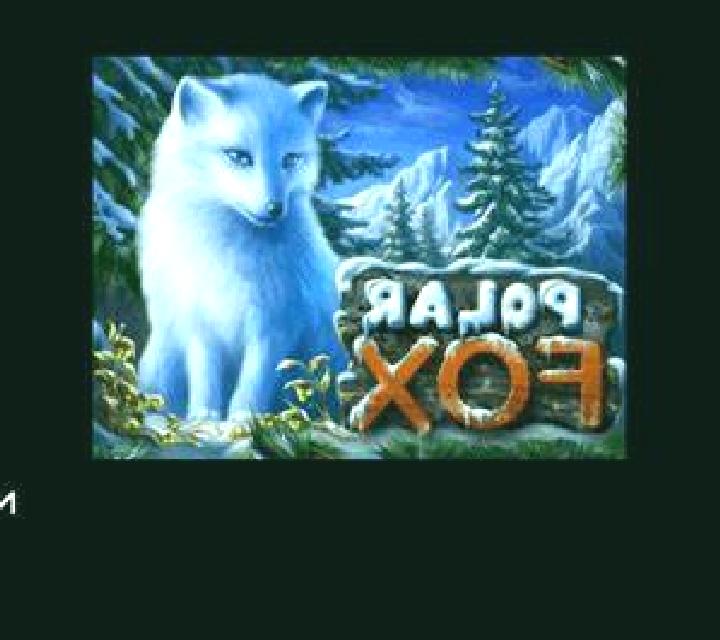 Olivia 3 Buitrago escort
