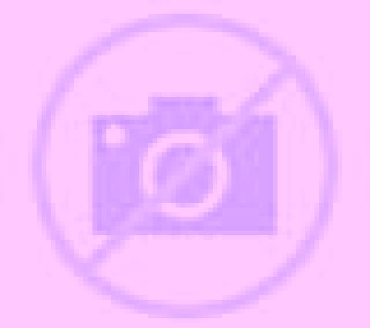 Olivia Bareyo escort