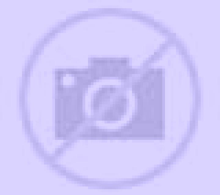 Olivia Rebollo escort
