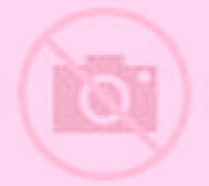 Paloma 3 Otxandio escort