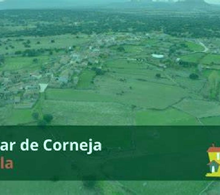 Paloma 3 Rubi de Bracamonte escort