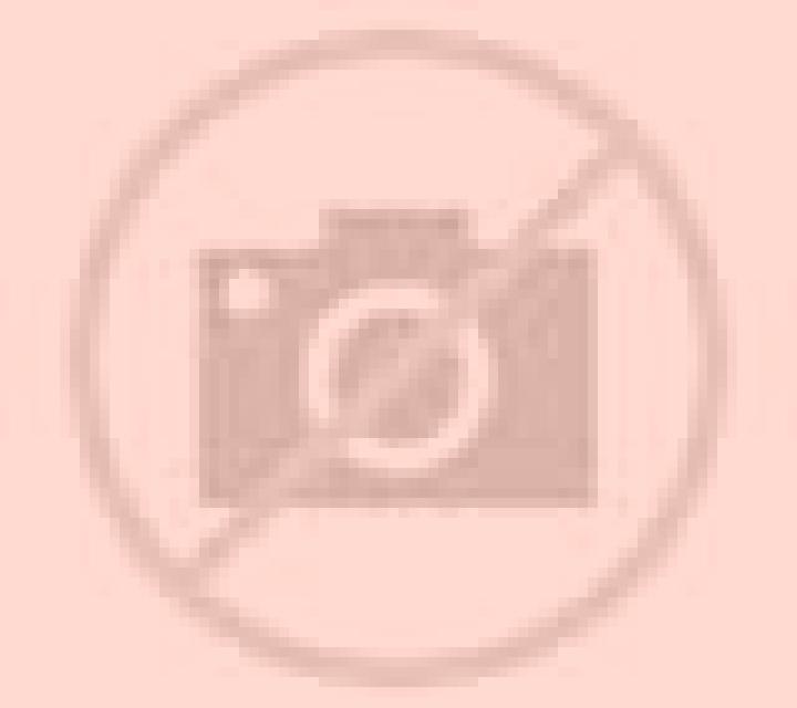 Paloma Bunyola escort