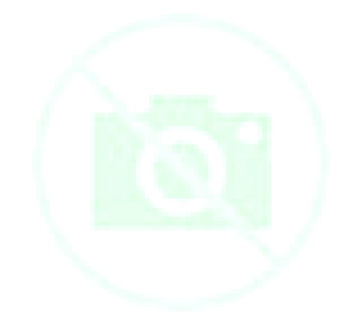 Paloma Fortia escort