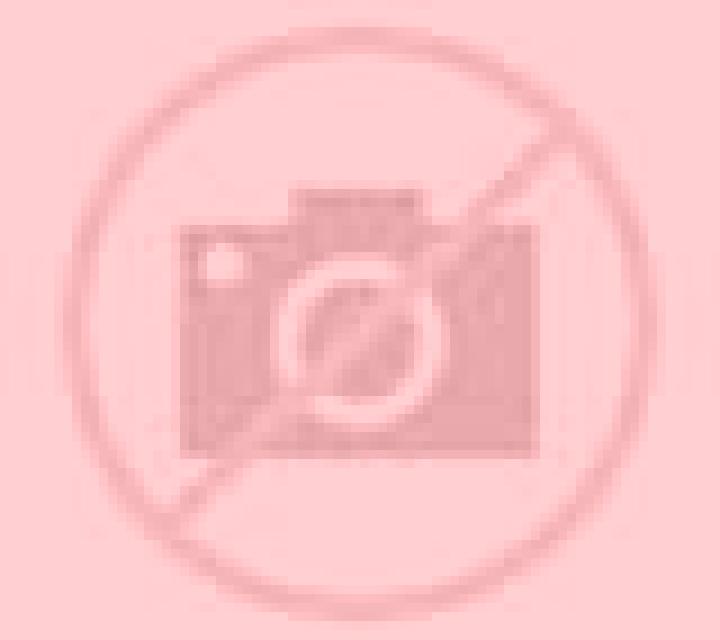 Patricia Zubieta escort