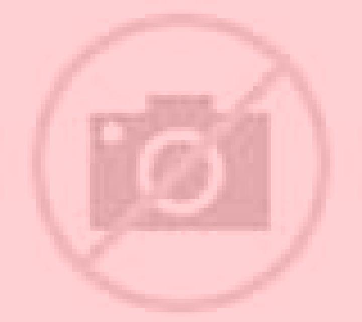 Regina 3 Las Tablas escort