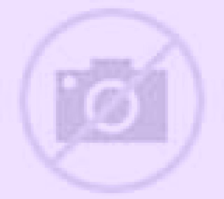 Regina Celorio escort