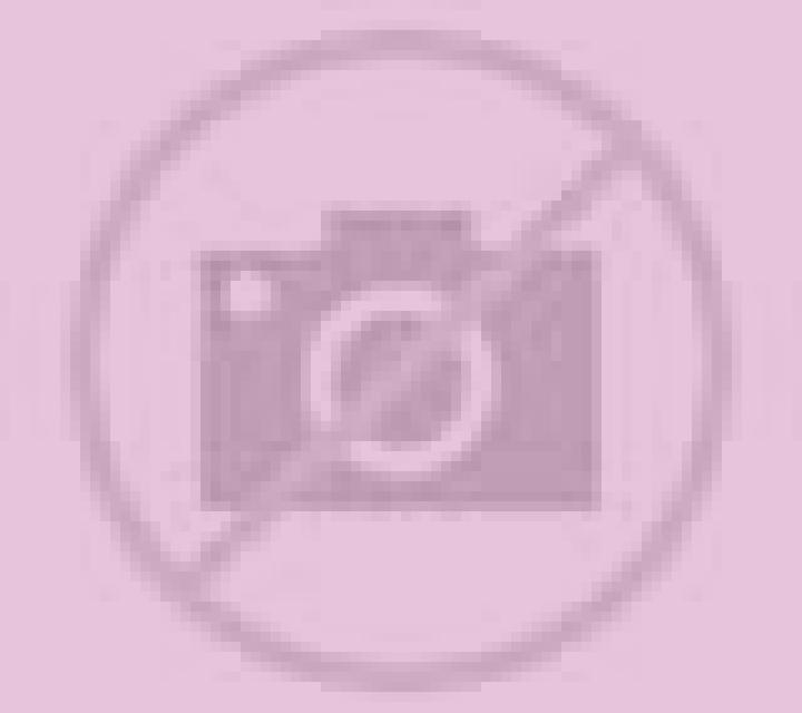 Regina Nules escort