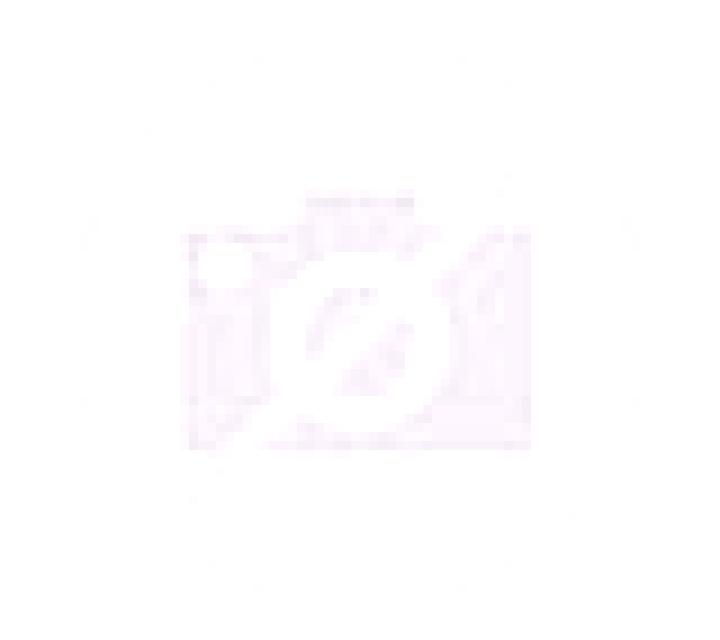 Regina Penagos escort