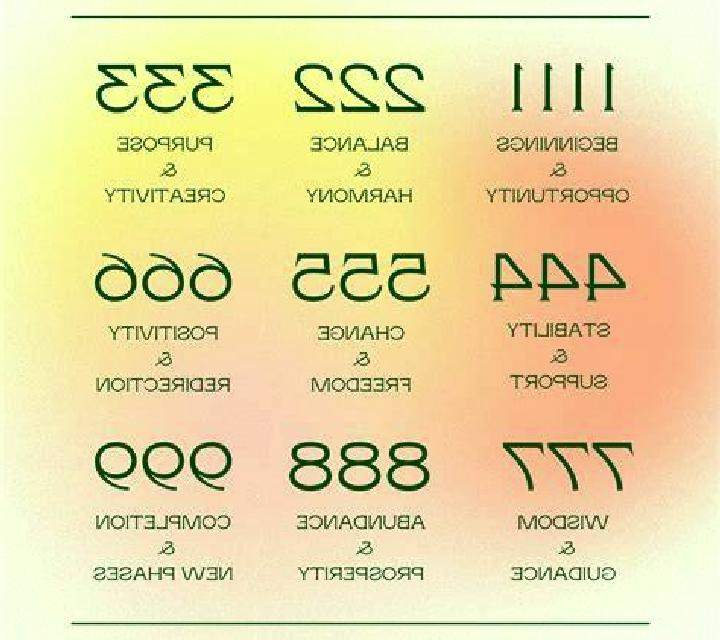 Renata 3 Cebolla escort