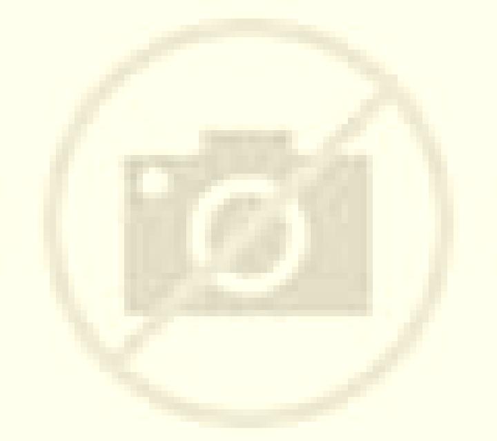 Renata Infantes escort