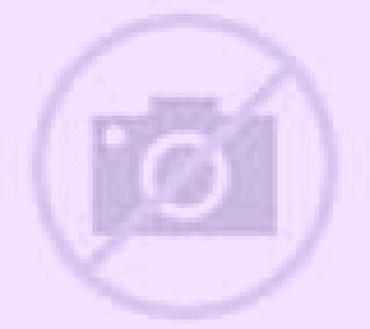 Renata Osornillo escort