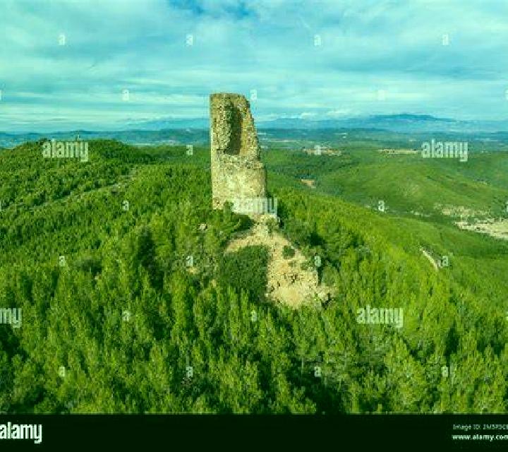 Renata Tabera de Abajo escort