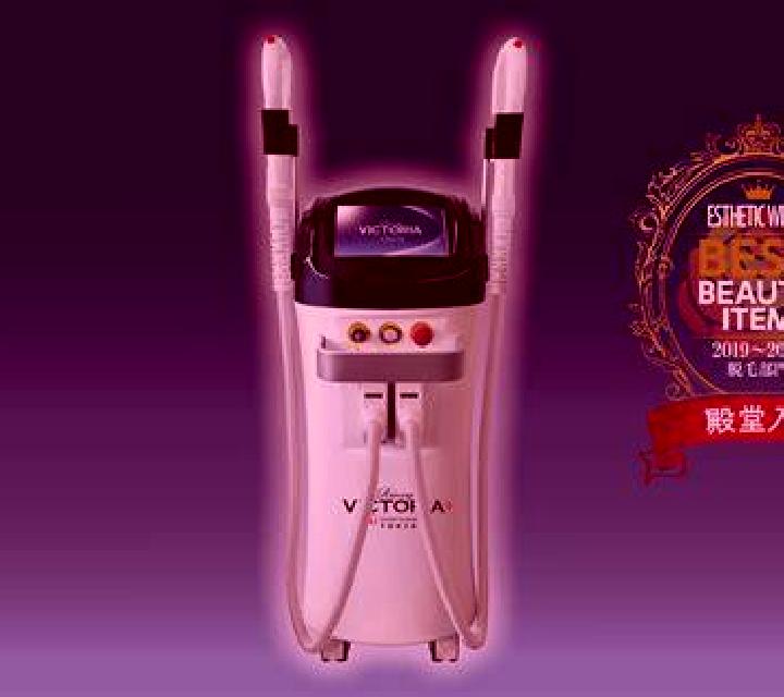 Rosa 3 Alfarp escort